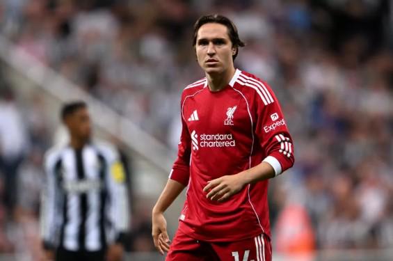 赵本山妻子,透露,球球曾狂热,欧博官网,欧博品牌,欧博精彩,欧博娱乐